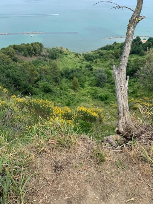 Villa Parisi Luxury Italian Villa ファーノ エクステリア 写真